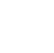 Digicate - Ryonic